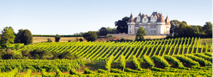 Vue du chateau vignoble bordelais